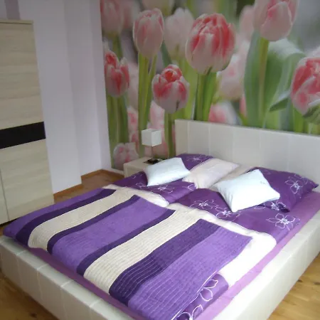 Nad Lomniczka Karpacz