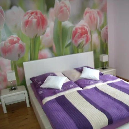 Nad Lomniczka Apartment *