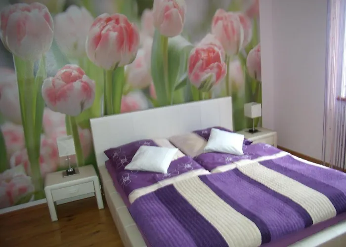 Nad Lomniczka Apartment *